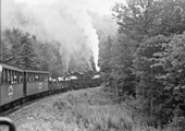 Old Spruce, West Virginia/Cass Scenic